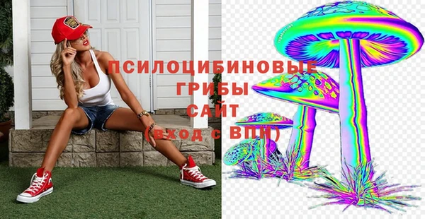 спиды Абаза