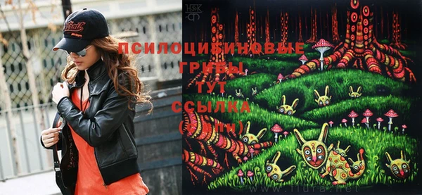 apvp Абинск