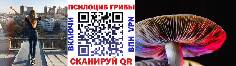 Псилоцибиновые грибы Psilocybe  что такое наркотик  Урень 